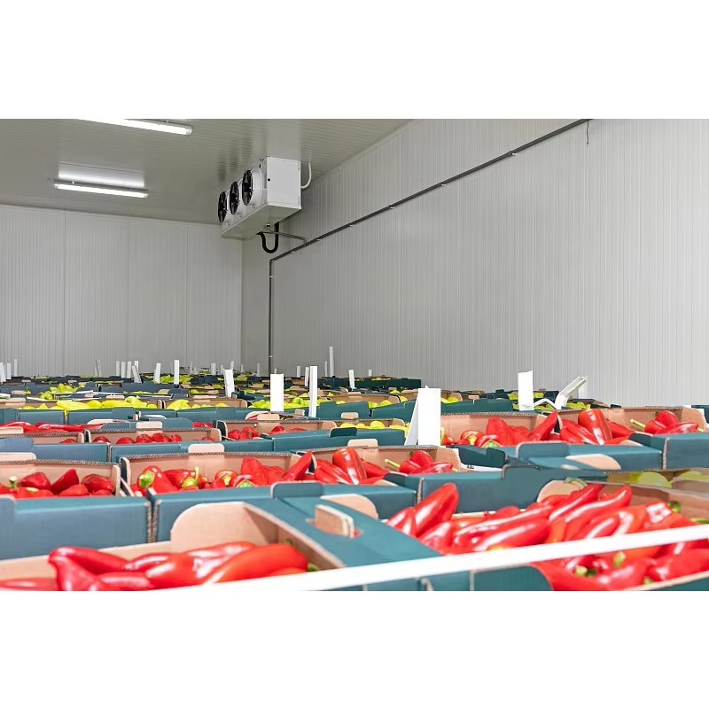 Chambre froide industrielle su - Food Storage Keep Hot avis et prix