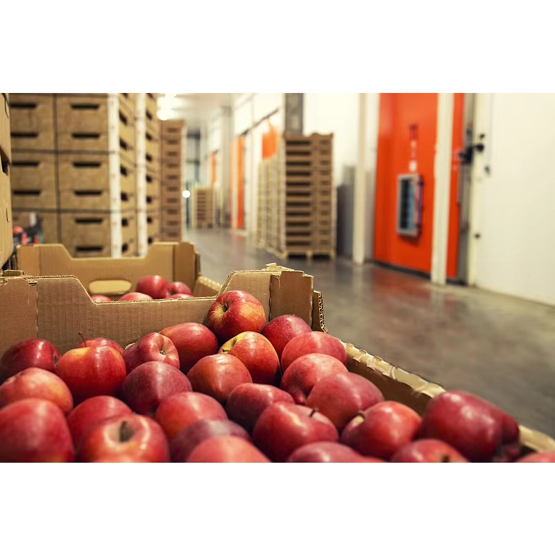 Chambre froide industrielle su - Food Storage Keep Hot avis et prix