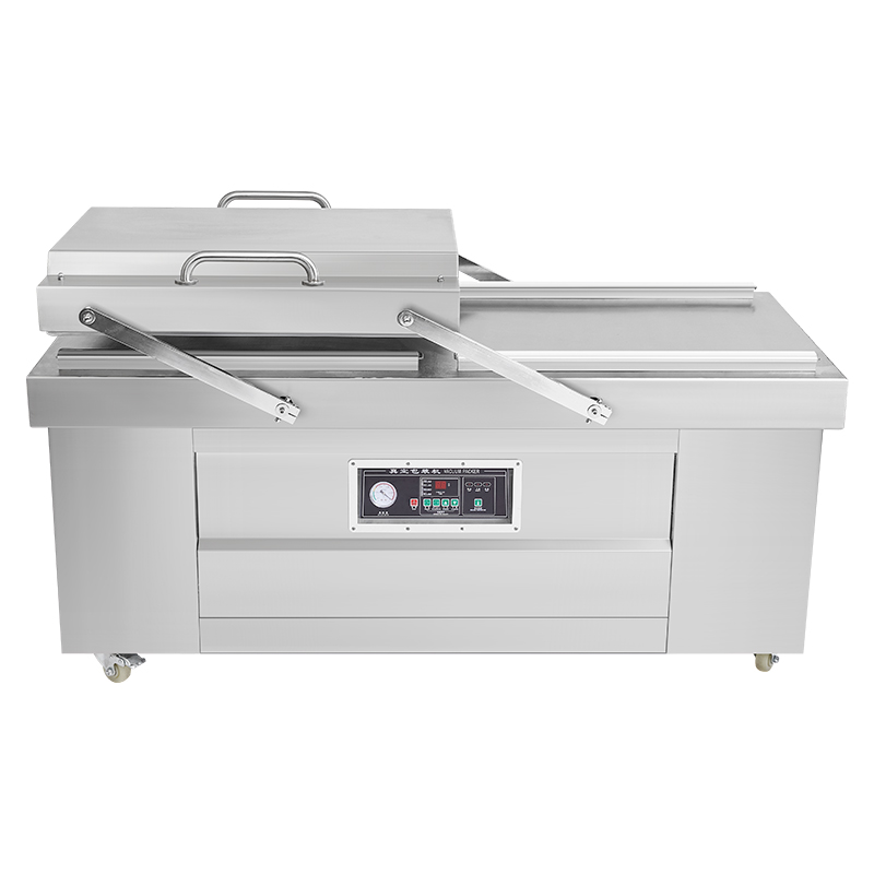 Scellage sous vide double DZ-8 - Food Storage And Preservation avis et prix