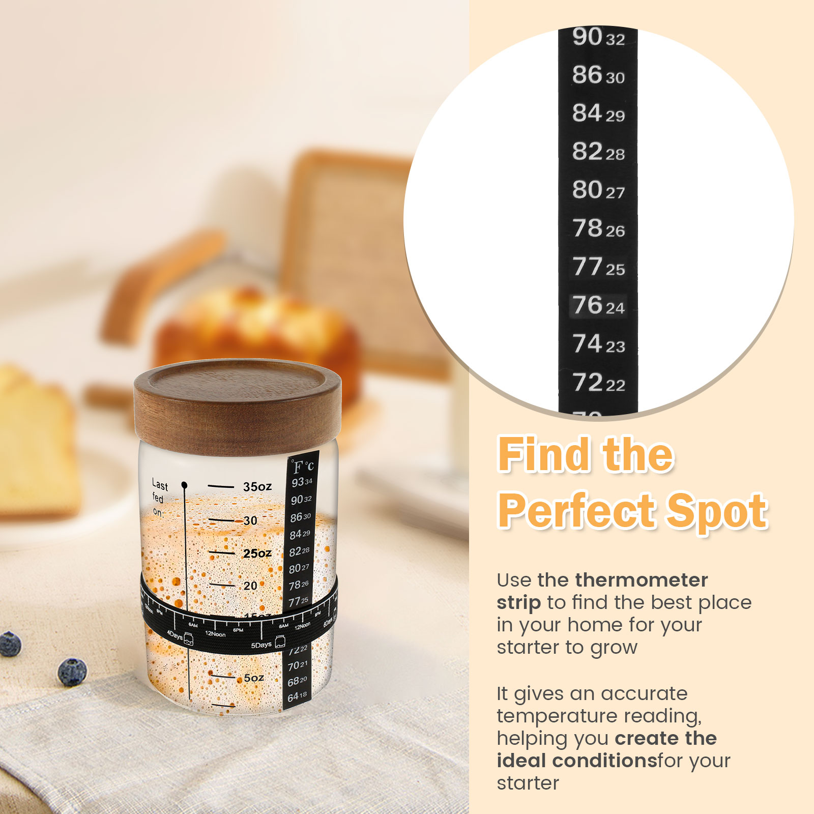 Kit de pot de démarrage au lev - Food Storage Jar Glass avis et prix